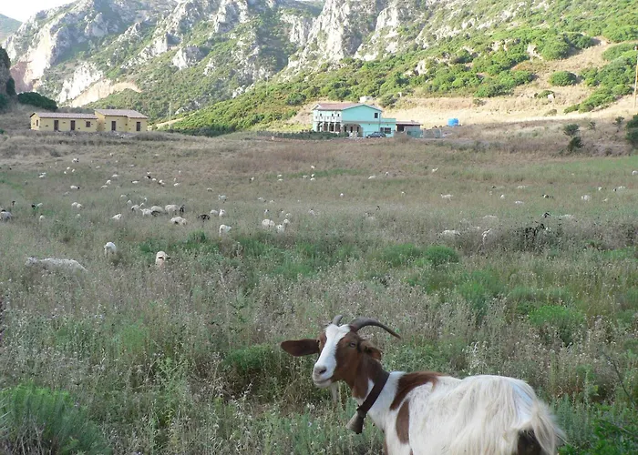 Agriturismo Sa Rocca