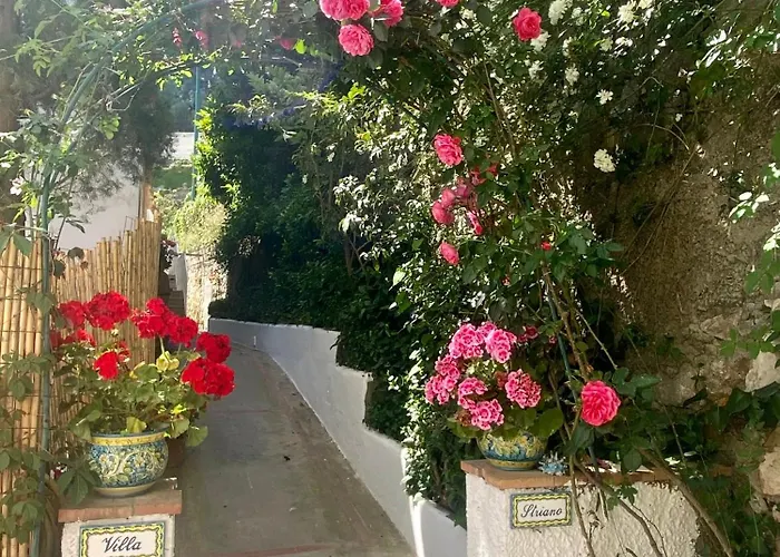 Maison d'hôtes: Villa Striano Boutique