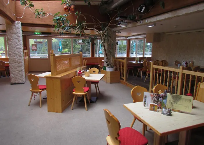 T3 Alpenhotel Garfrescha