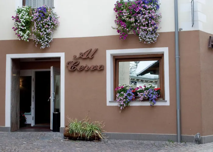 Al Cervo