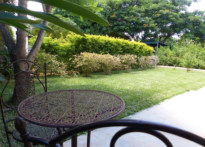 Ancha'S Oasis