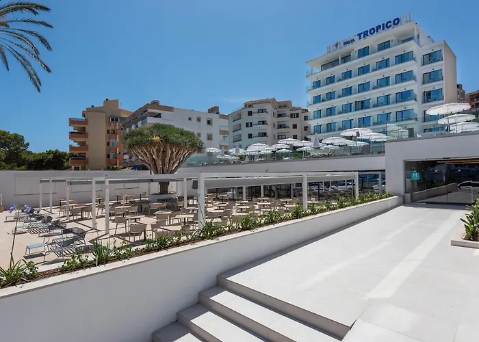 Palia Tropico Playa