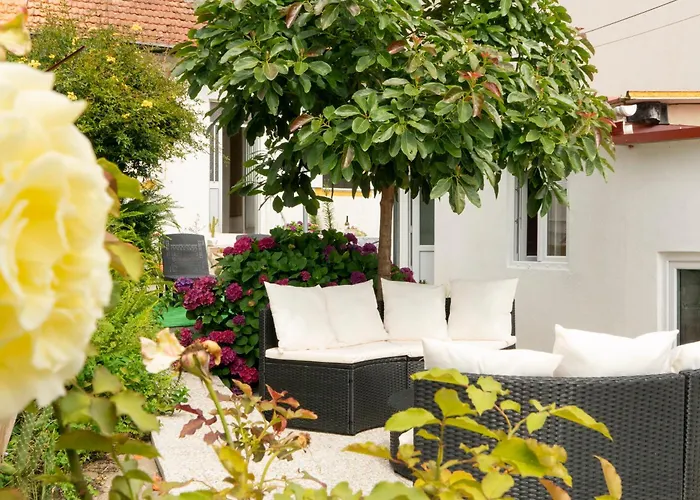 Hotel do aeroporto: Growth House