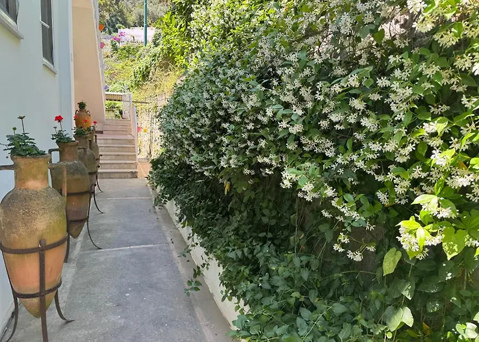 Maison d'hôtes: Villa Striano Boutique