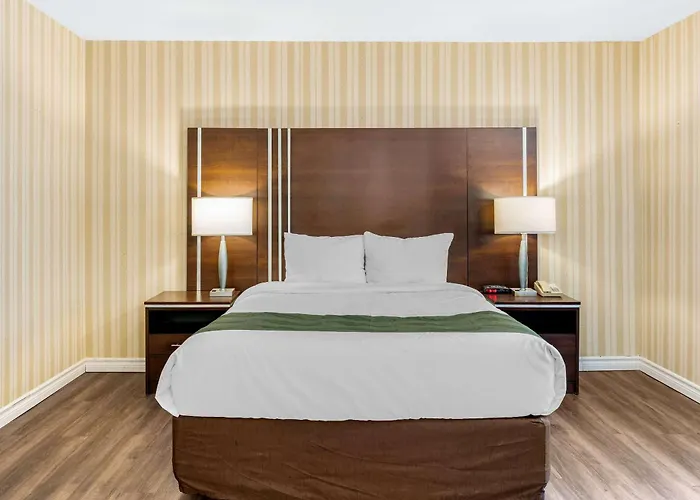 Pet Friendly hotel: Quality Hotel & Suites