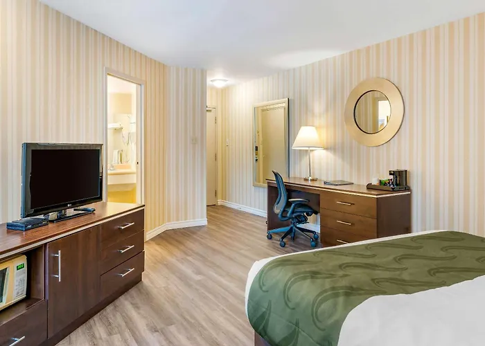 Pet Friendly hotel: Quality Hotel & Suites