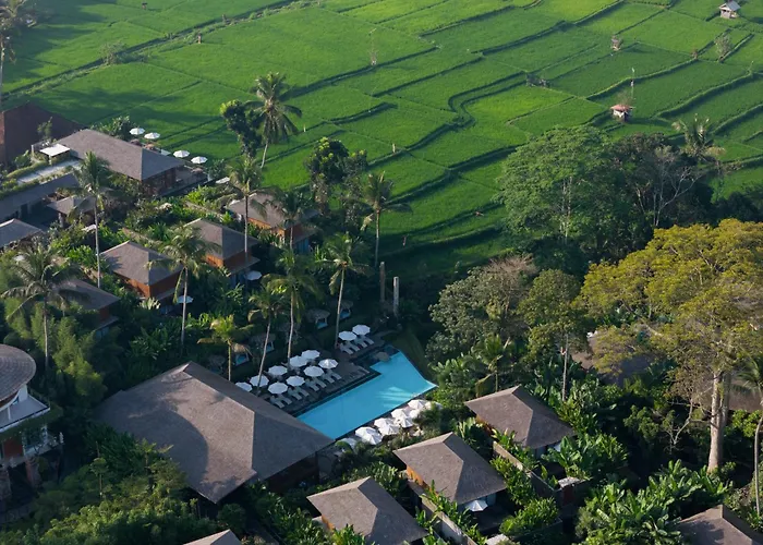 Kappa Senses Ubud