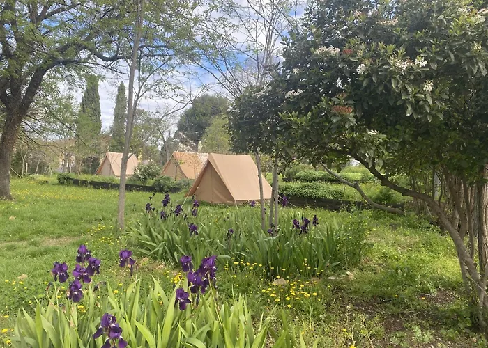 Hôtel accueillant les animaux: Auberge de Jeunesse HI Marseille Bois-Luzy