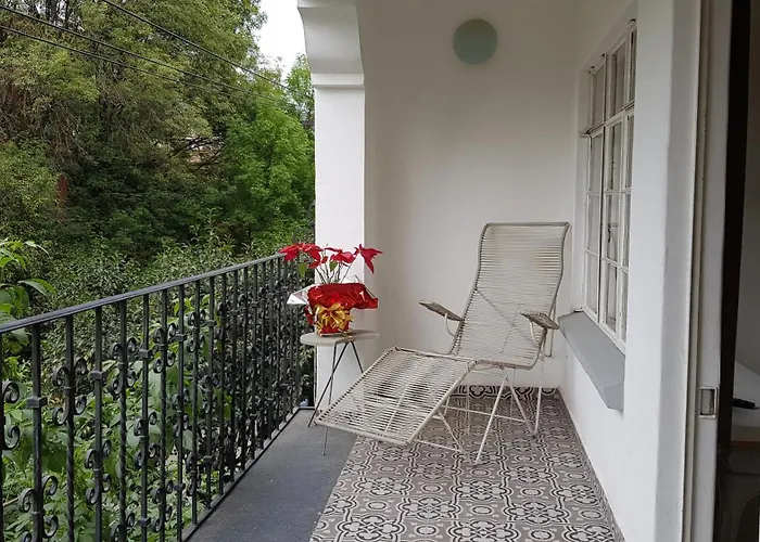 Condesa Haus Rentals