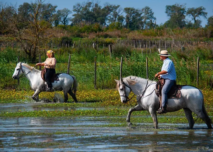 B&B: Manade des Baumelles