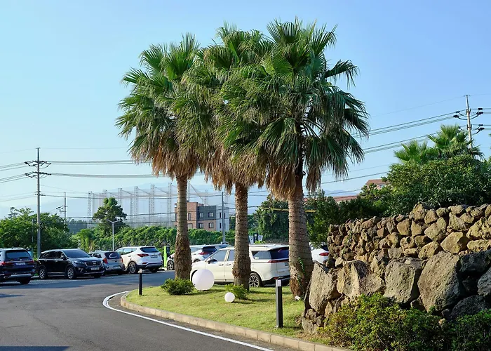 Shin Shin Hotel Jeju City