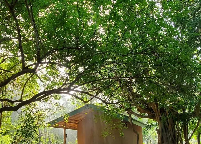 Clay Hut Village