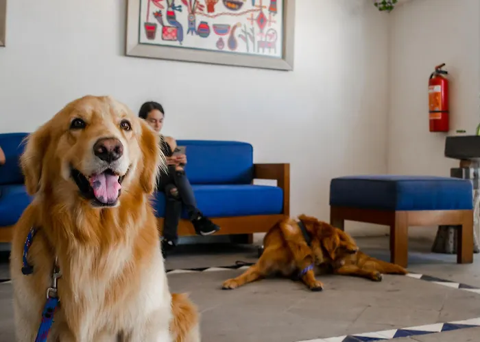 Puerto De Luna Pet Friendly And Family Suites