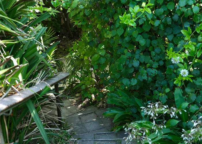 House Of Pania Bnb, Clifftop Retreat With Soul