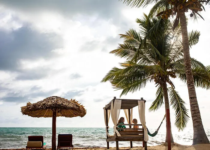Belizean Dreams