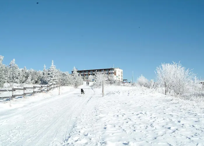 Wellness-& Nationalpark Hotel Schliffkopf, Bwsc