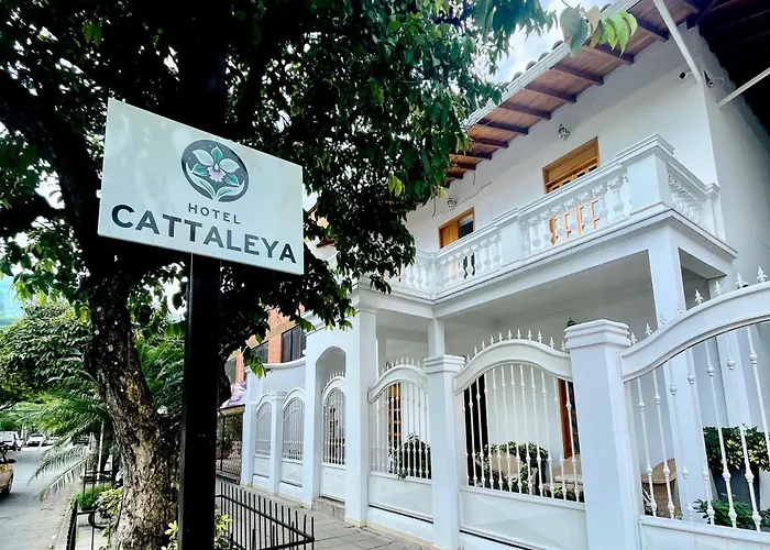 Hotel boutique: Hotel Cattaleya City