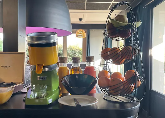 Brit Hotel Quimper Sud