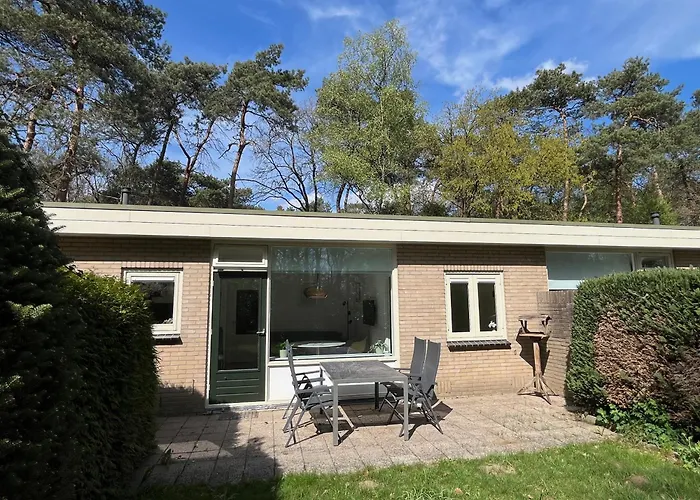 Villa: Modern natuurhuisje midden in het bos op de Veluwe - Beau Home