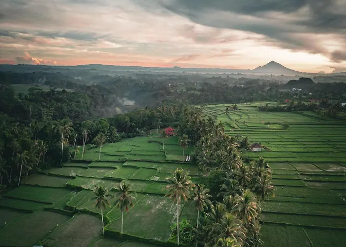 Ayu Duwur Beji