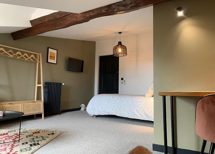 Hôtel accueillant les animaux: La Maison VH