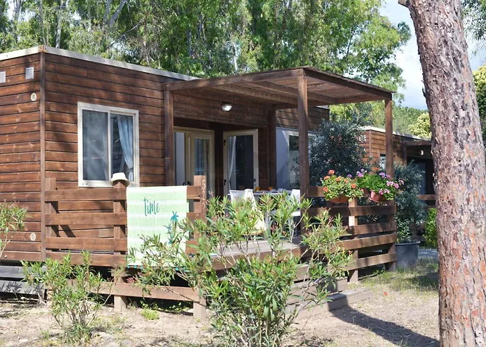 Hotel vicino al College: Camping Village Flumendosa