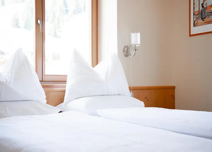 Hotel adatto agli animali: Hotel Euròpa Dolomites