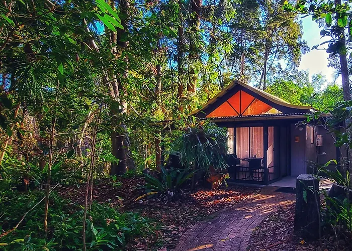 Byron Bay Rainforest