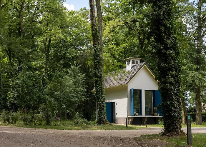 De Pol