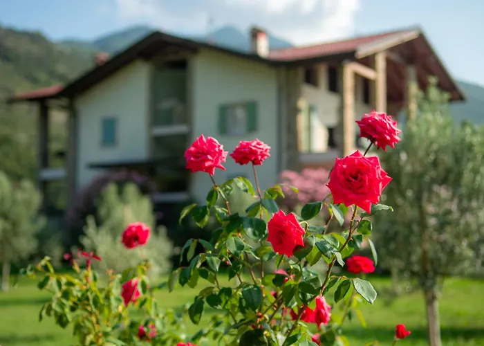 Casa vacanza: Agritur Stefenelli
