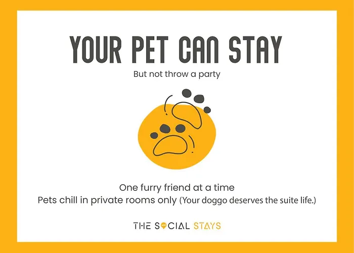 Social Stays Dehradun