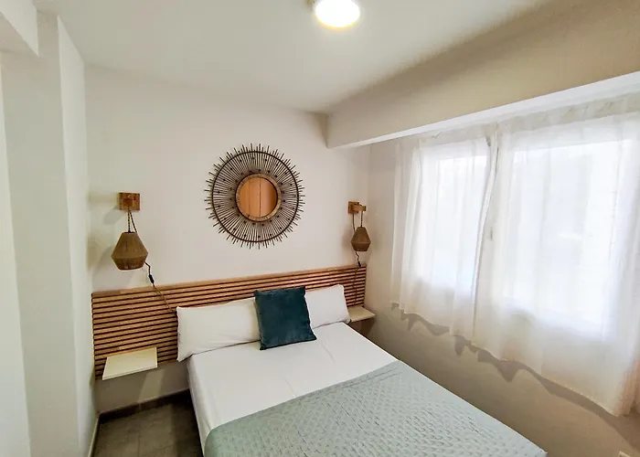 Perros hoteles Gandía Centro 3000