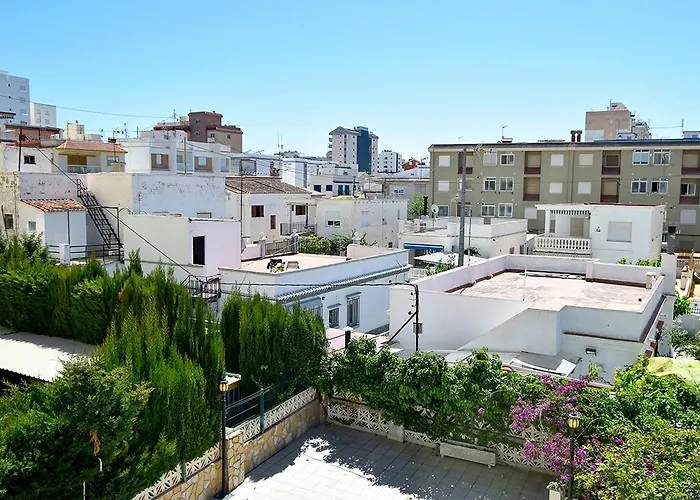 Perros hoteles Gandía Centro 3000