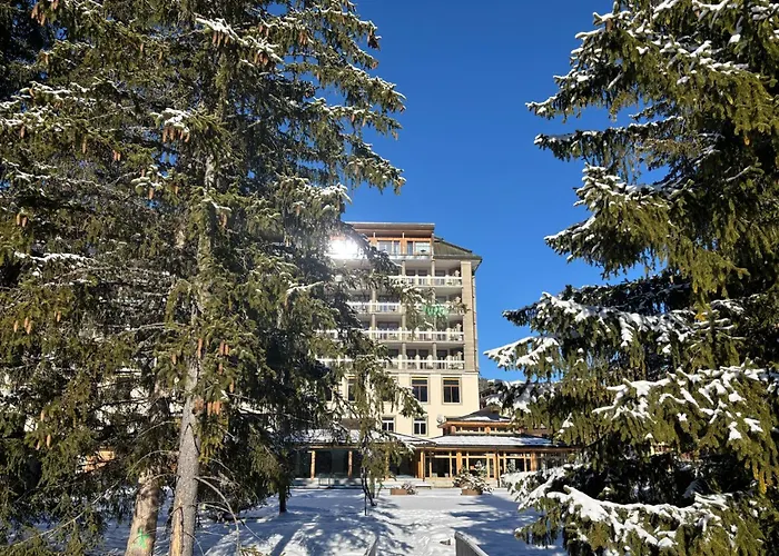Trip to College Altein Arosa, A Faern Collection Resort