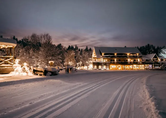 Ping Pong hotel: Hotel Gruener Wald