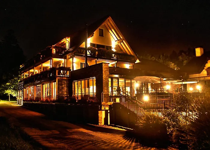 Ping Pong hotel: Hotel Gruener Wald
