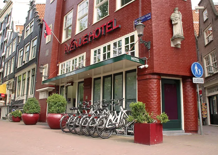 Beach Hotels Avenue