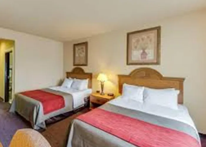 Comfort Inn & Suites Fredericksburg