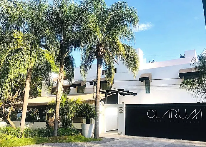  Clarum 101