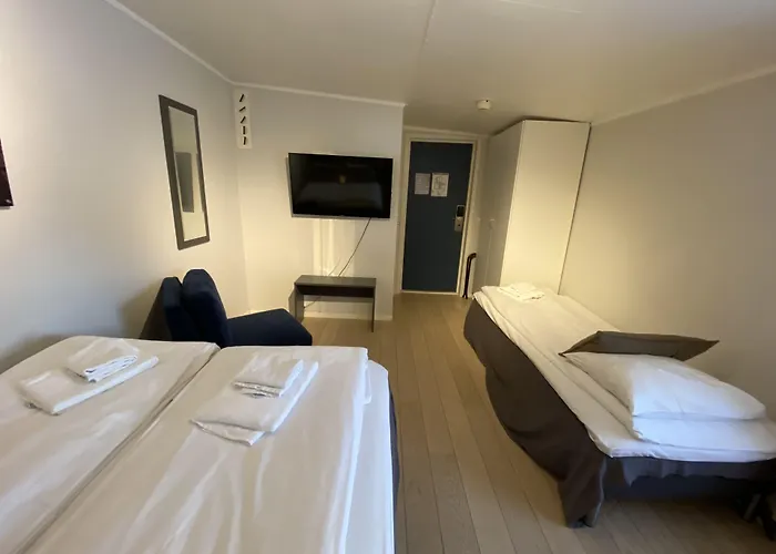 Albergo economico: Enter Viking Hotel