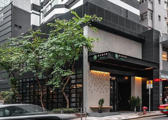 Dog friendly hotels Ovolo Central