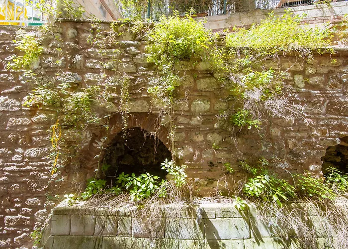 Senatus Hotel - Special Class