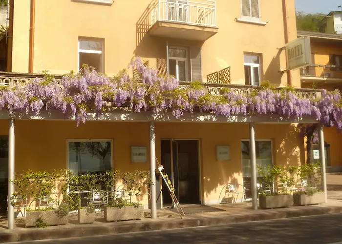 Belvedere