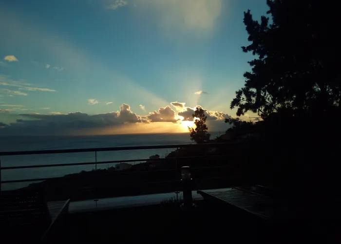 Casa Do Papagaio Verde