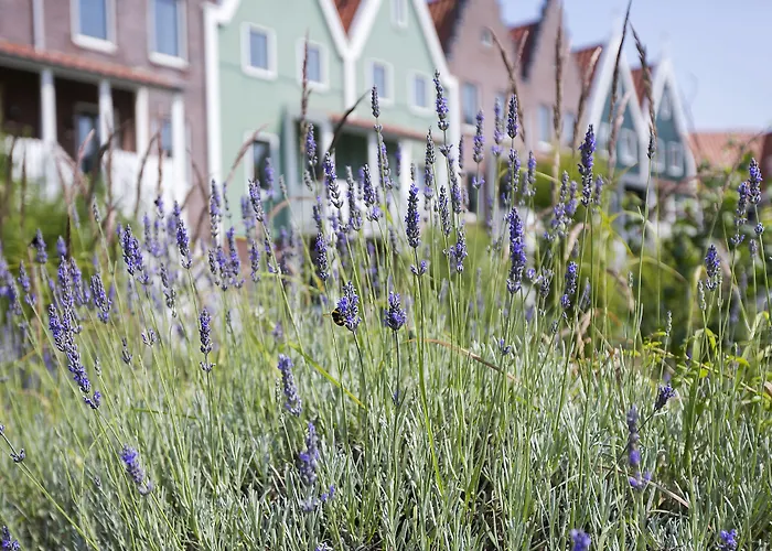 Hotel met zwembad: Roompot Hotel Marinapark Volendam