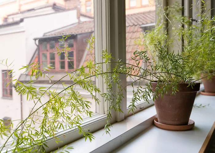 Hotel que admite mascotas: Stf Hostel Stigbergsliden