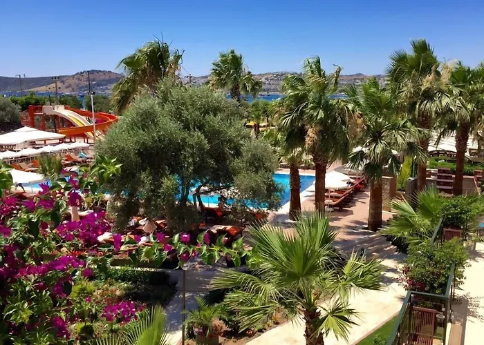 Anadolu Bodrum