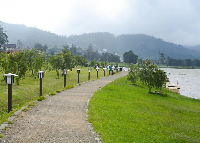 The Tea Garden