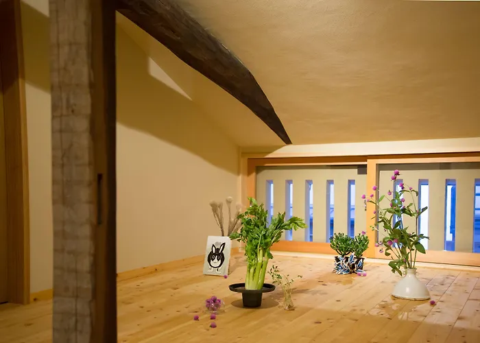 Ryokan Mugen (Adults Only)