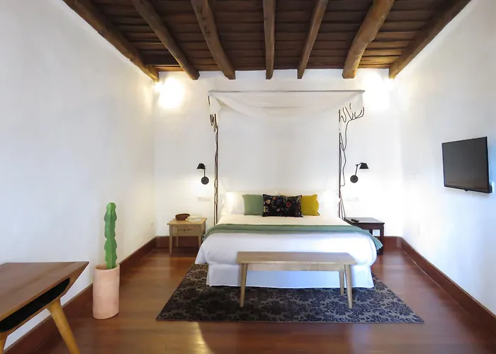 Hotel Boutique Palacio Ico - Only Adults